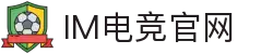 IM(股份有限公司)电竞-电子竞技平台