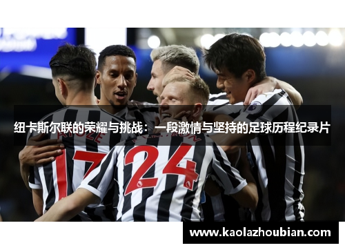 纽卡斯尔联的荣耀与挑战：一段激情与坚持的足球历程纪录片