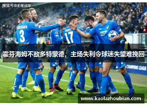霍芬海姆不敌多特蒙德，主场失利令球迷失望难挽回