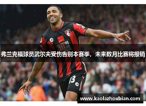弗兰克福球员武尔夫受伤告别本赛季，未来数月比赛将报销