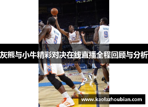 灰熊与小牛精彩对决在线直播全程回顾与分析